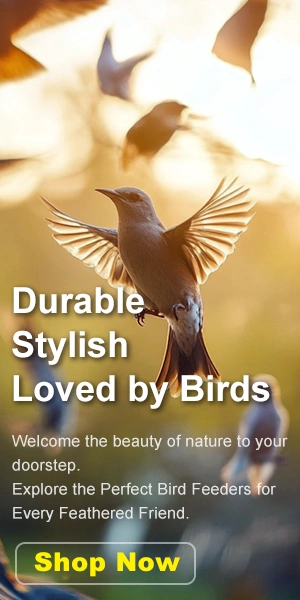 Click Here for Exclusive Deals on Bird Feeders.