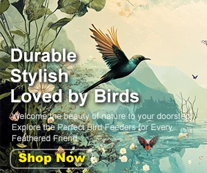Click Here for Exclusive Deals on Bird Feeders.